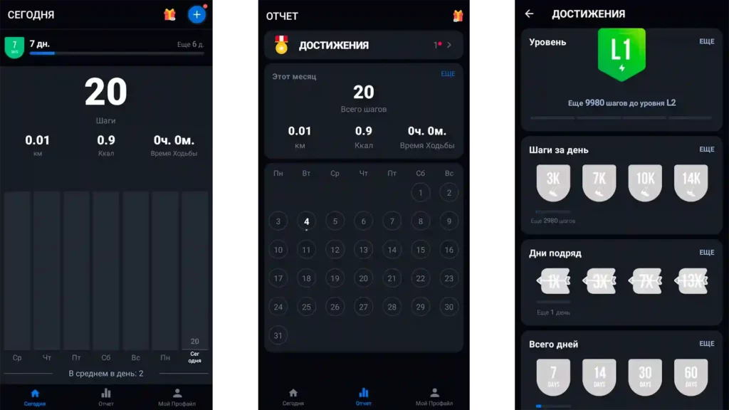 функциональное приложение шагомер с отчетами и достижениями